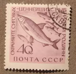 Сиг. Почта СССР 1960