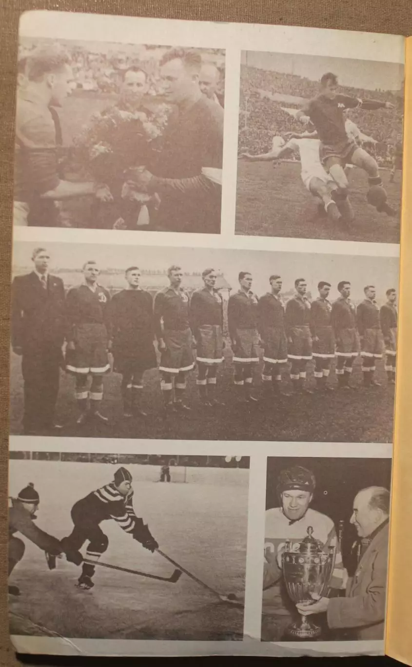 Анатолий Салуцкий Всеволод Бобров (2-е издание, 1987) лот 3 3