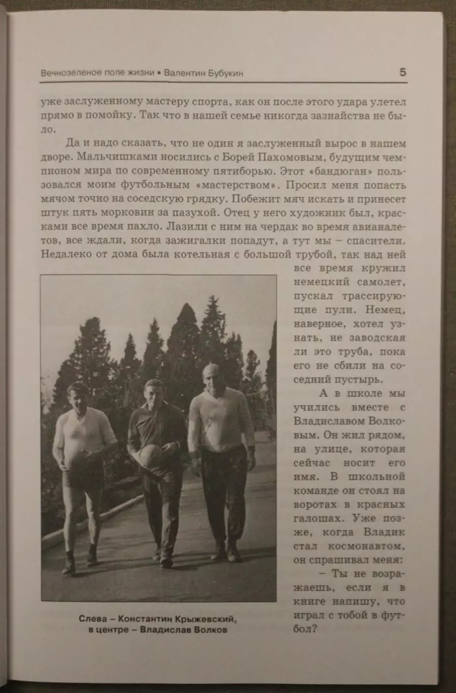 Валентин Бубукин Вечнозеленое поле жизни 3