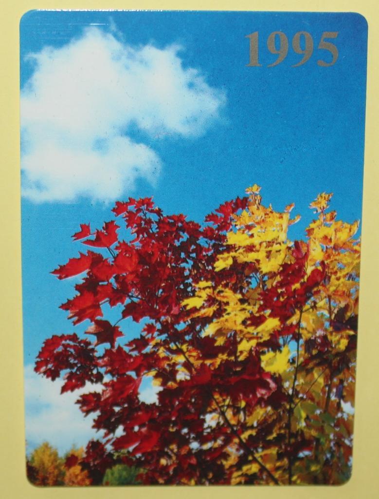 Календарик Аэрофлот осенние листья 1995