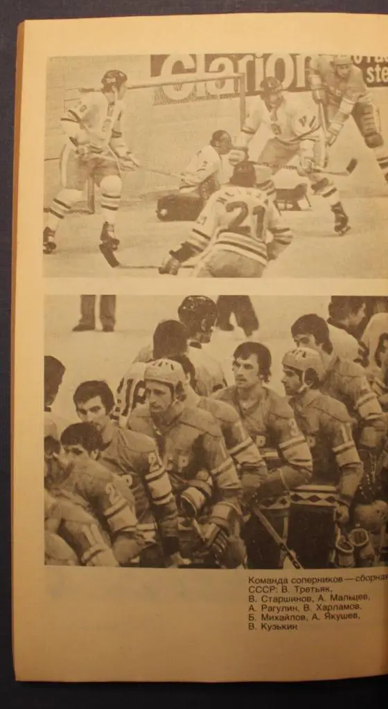 Зденек Журман Братья 2