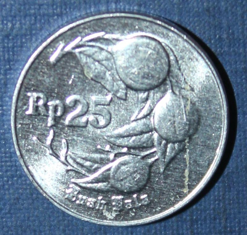 25 рупий Индонезия 1994