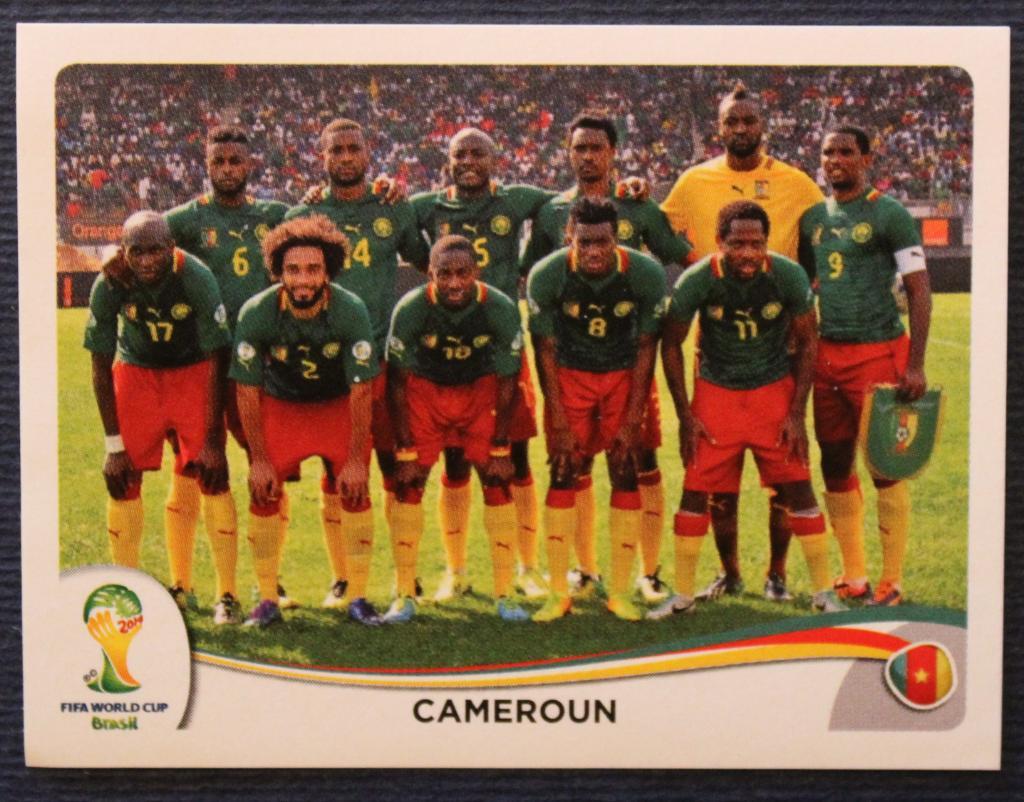 Сборная Камеруна (чемпионат мира 2014)
