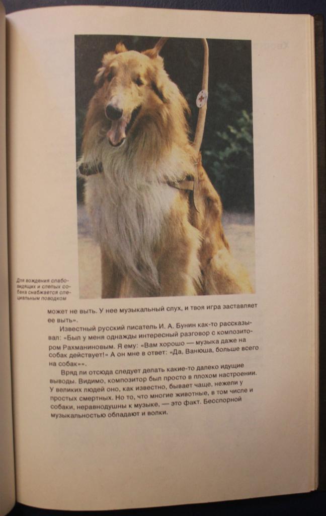 Лев Корнеев Слово о собаке 4