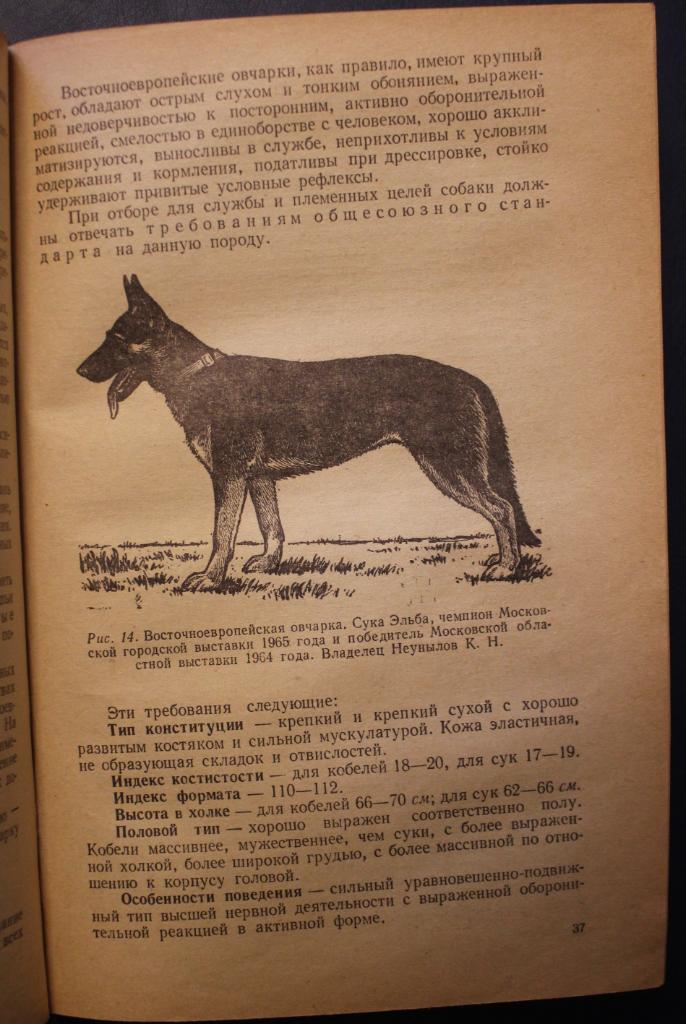 Служебная собака (издательство ДОСААФ, 1972) 3