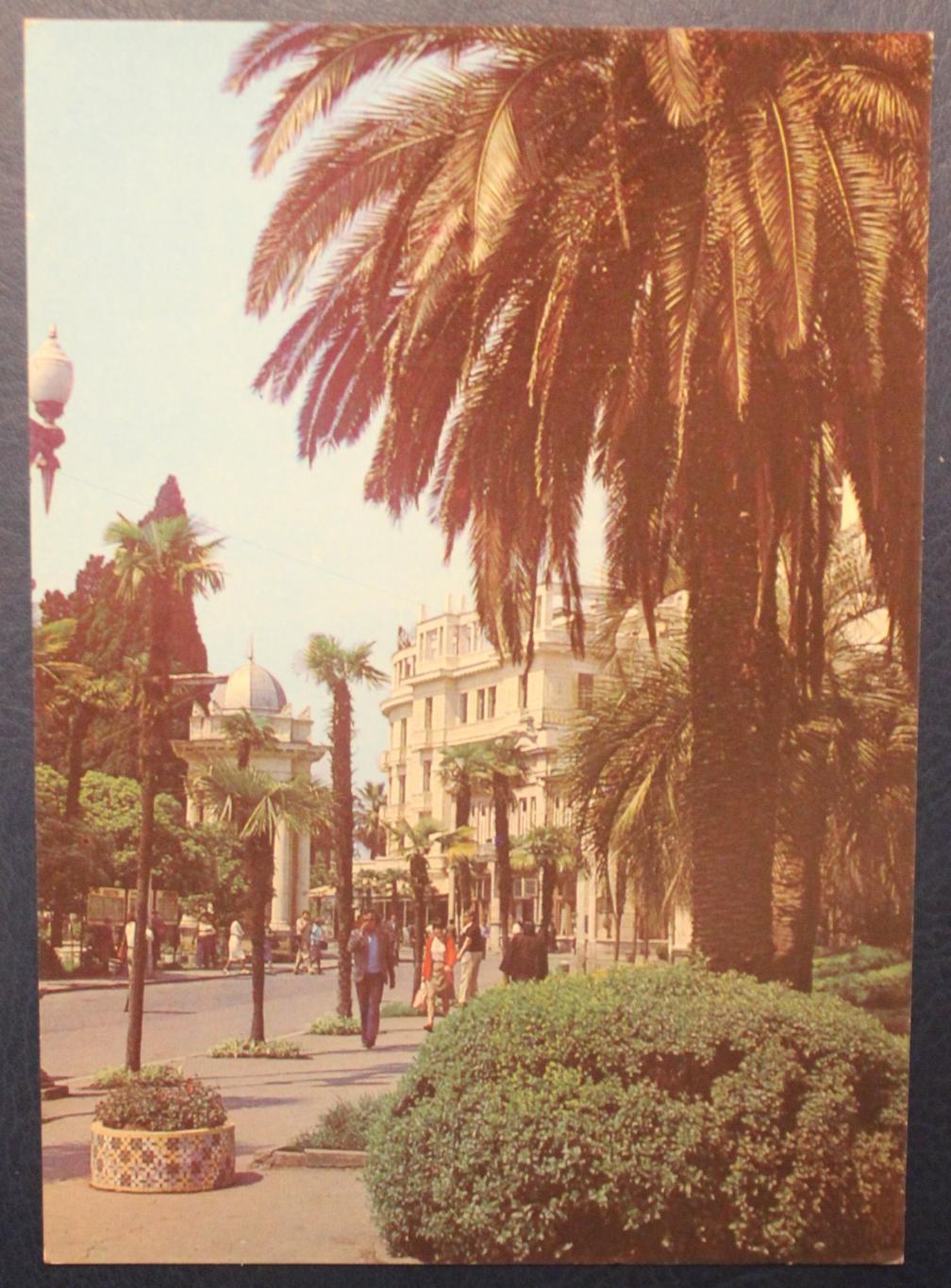 Набор открыток Сухуми 1981 4