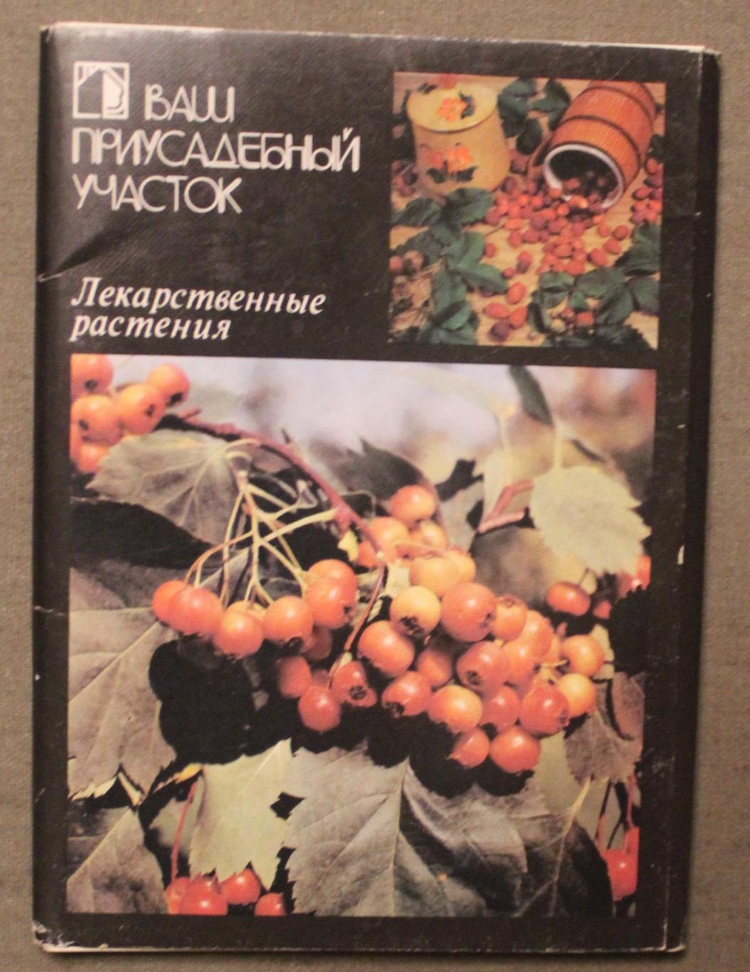 Набор открыток Лекарственные растения 1988