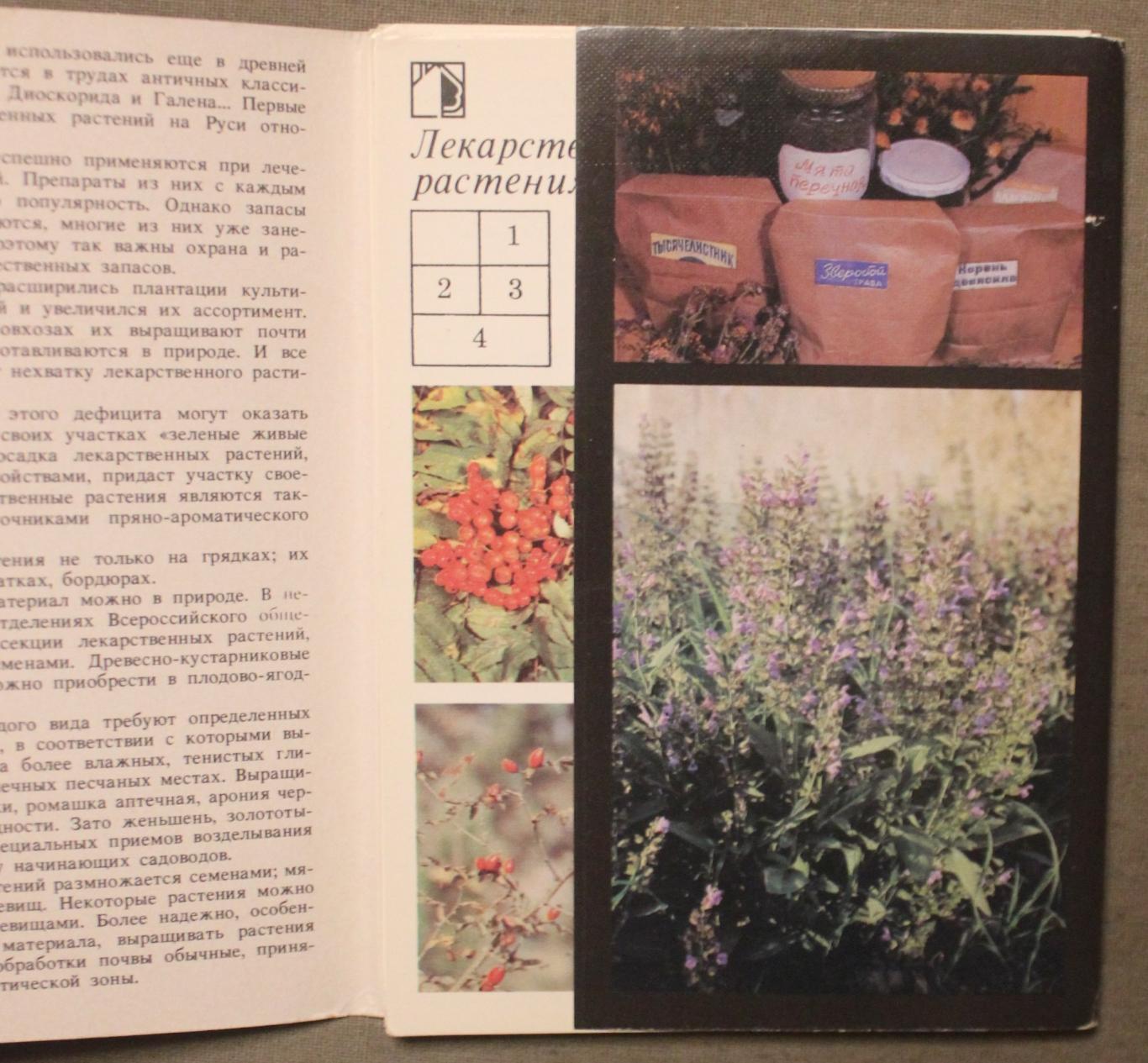 Набор открыток Лекарственные растения 1988 2