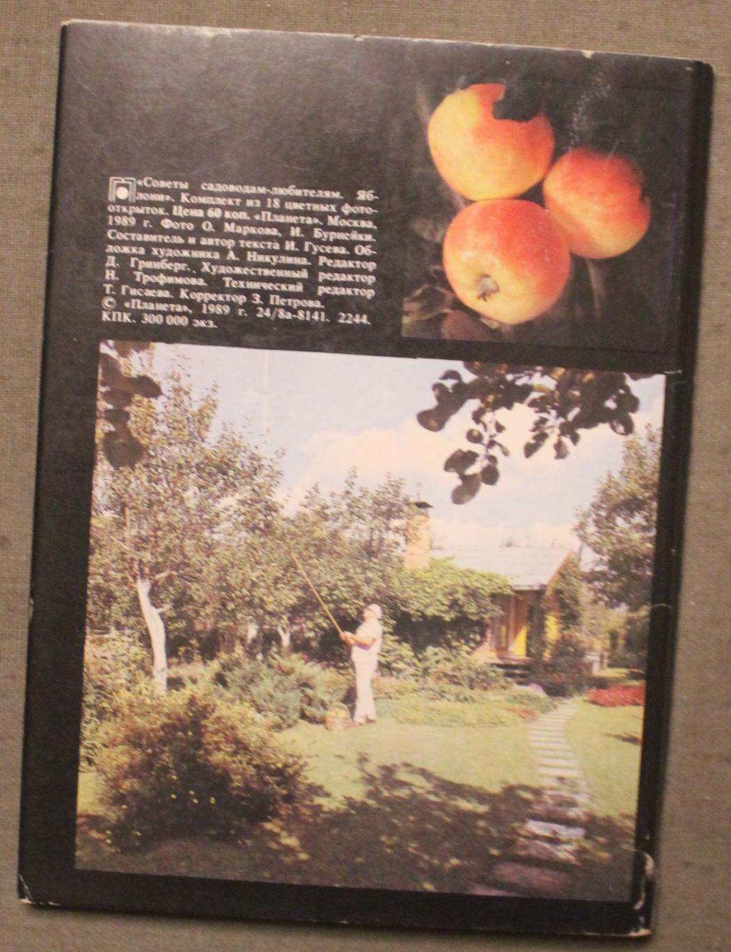 Набор открыток Яблони 1989 1