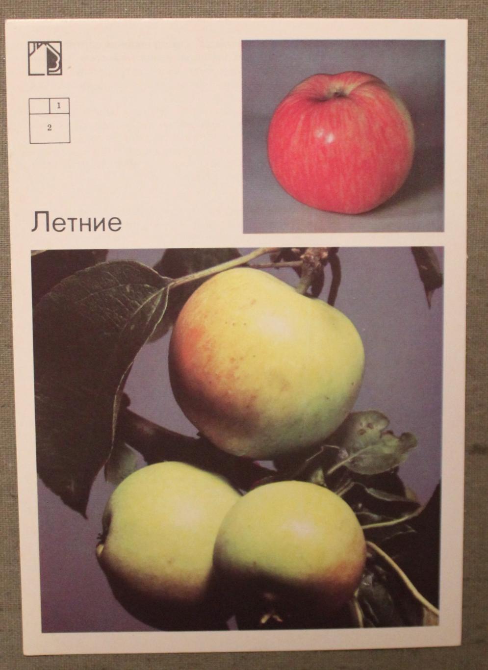 Набор открыток Яблони 1989 5