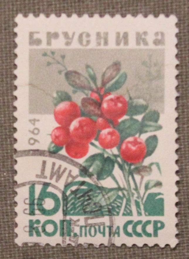 Брусника из набора Ягоды. Почта СССР 1964