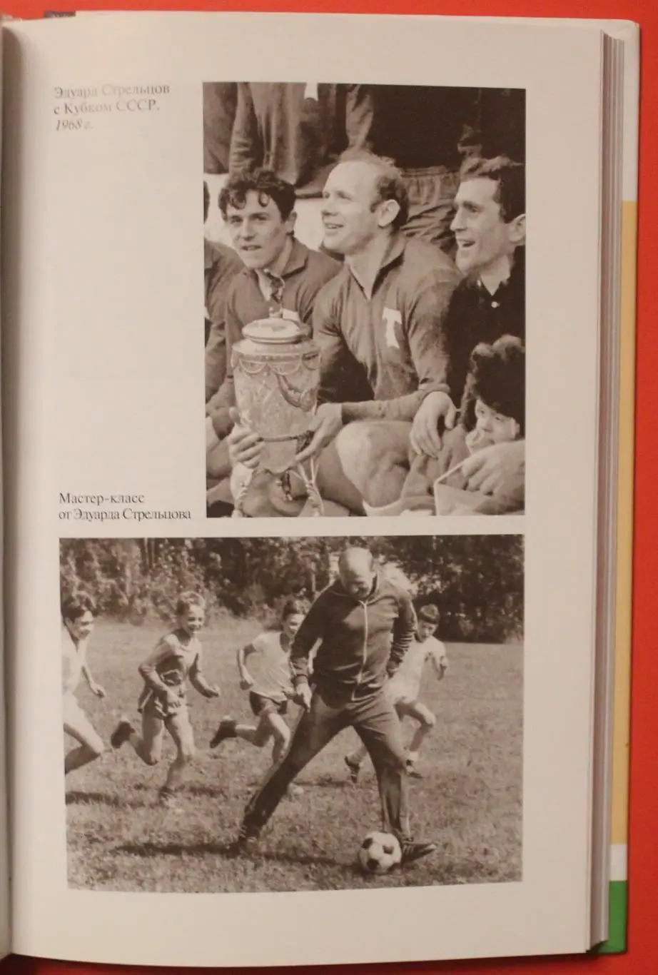 Владимир Галедин Эдуард Стрельцов из серии Жизнь замечательных людей 3