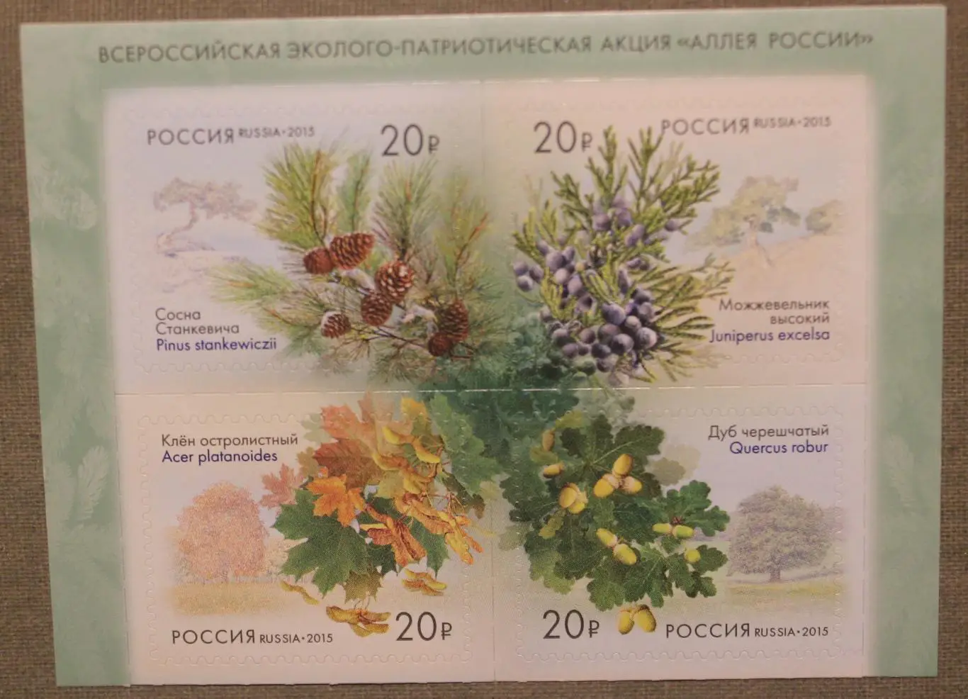 Всероссийская акция Аллея России из серии Флора России Почта России 2015