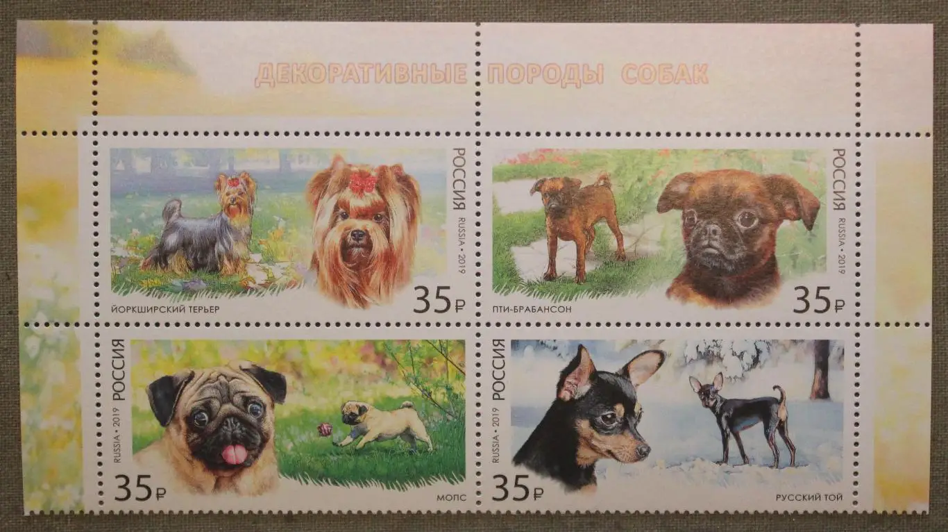 Верхняя половина малого листа Декоративные породы собак Почта России 2019