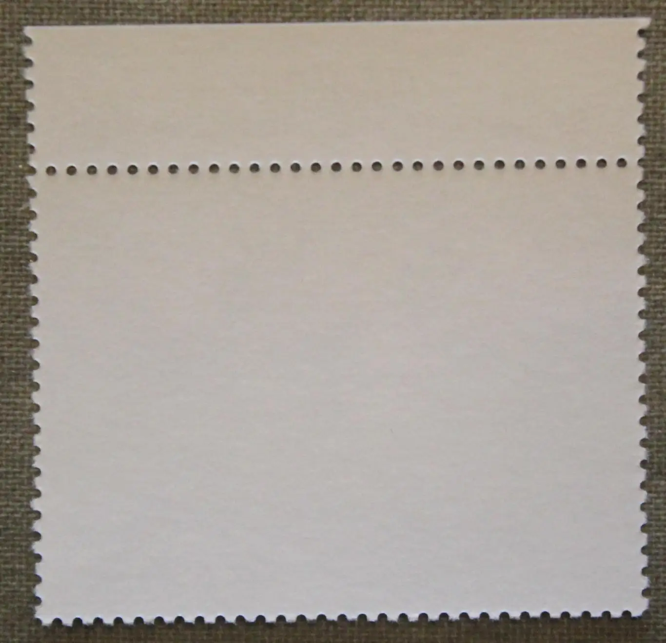 Птицы. Выпуск по программе Европа Почта России 2019 1