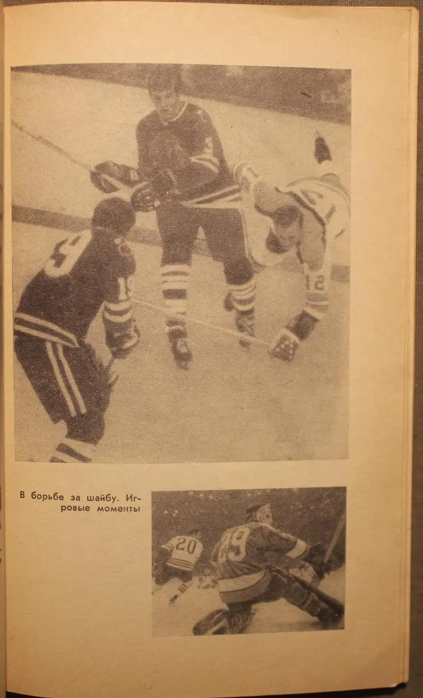 Николай Агаянц На льду профессионалы 3