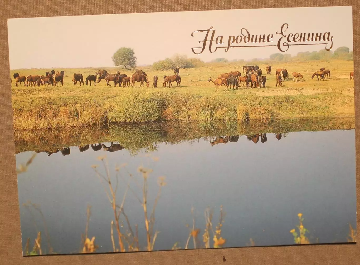 Набор открыток На родине Есенина 1990 4