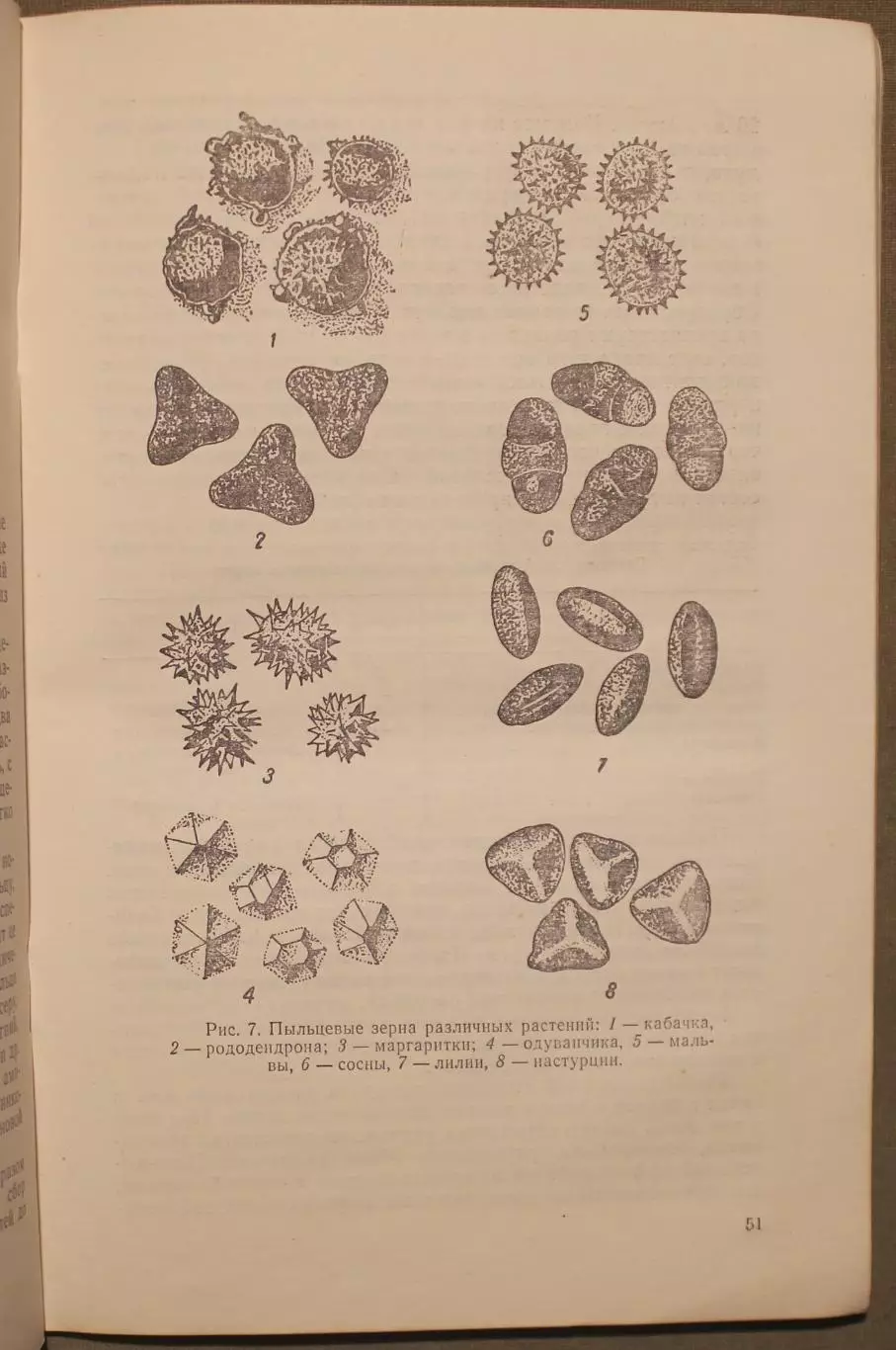 Клавдия Кузьмина Лечение пчелиным медом и ядом 3