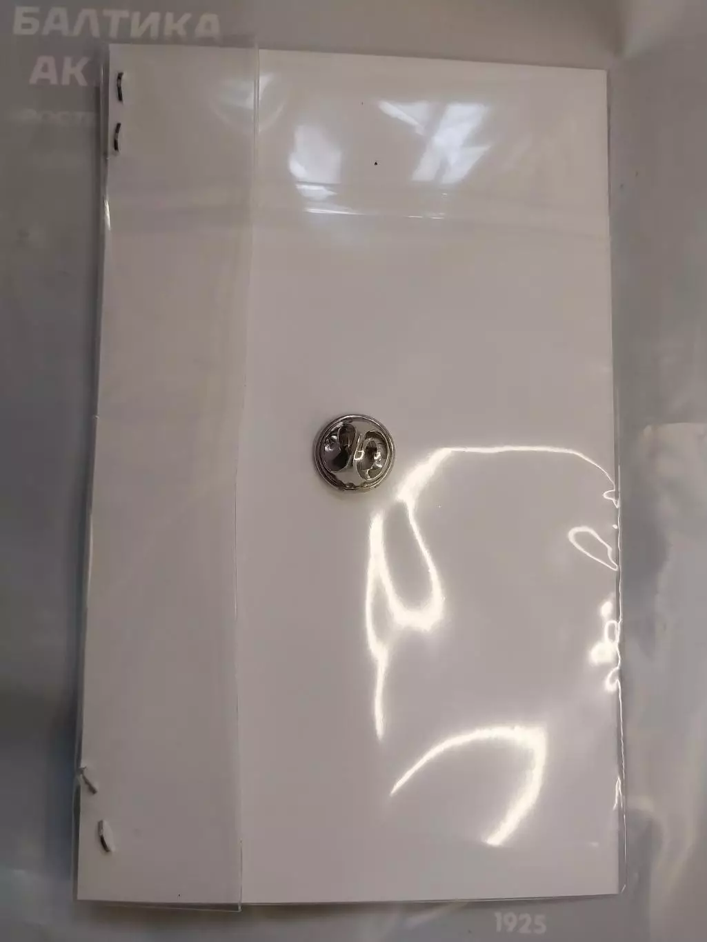 Фк Балтика (Калининград). Франчик.Официальный 1