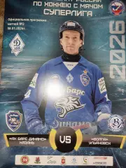 Ак Барс Динамо Казань - Волга Ульяновск. 08.01.2026. Хоккей с мячом. Суперлига