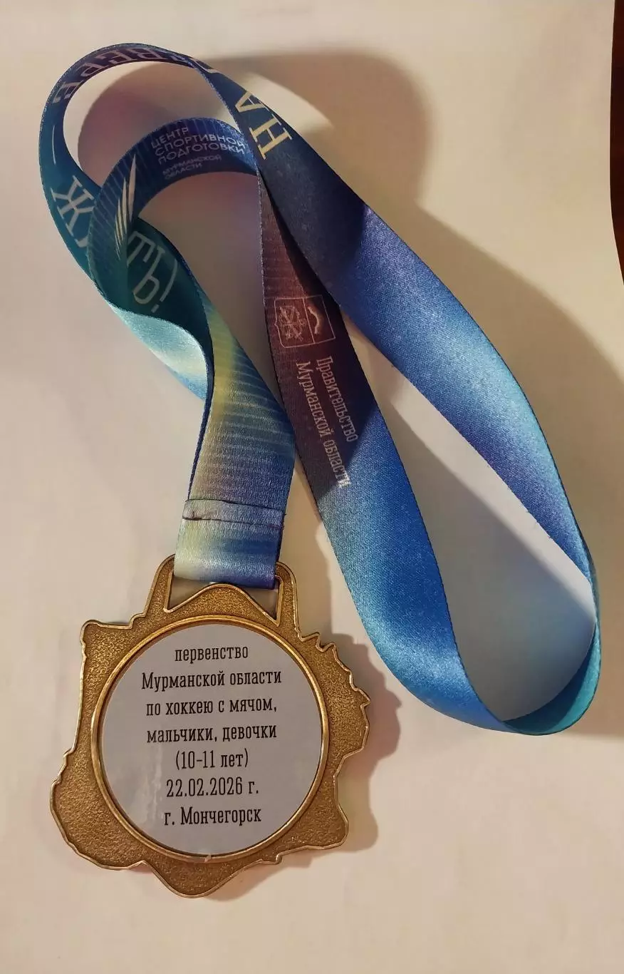 Медаль Первенство Мурманской области по хоккею с мячом, мальчики, девочки 2026 3