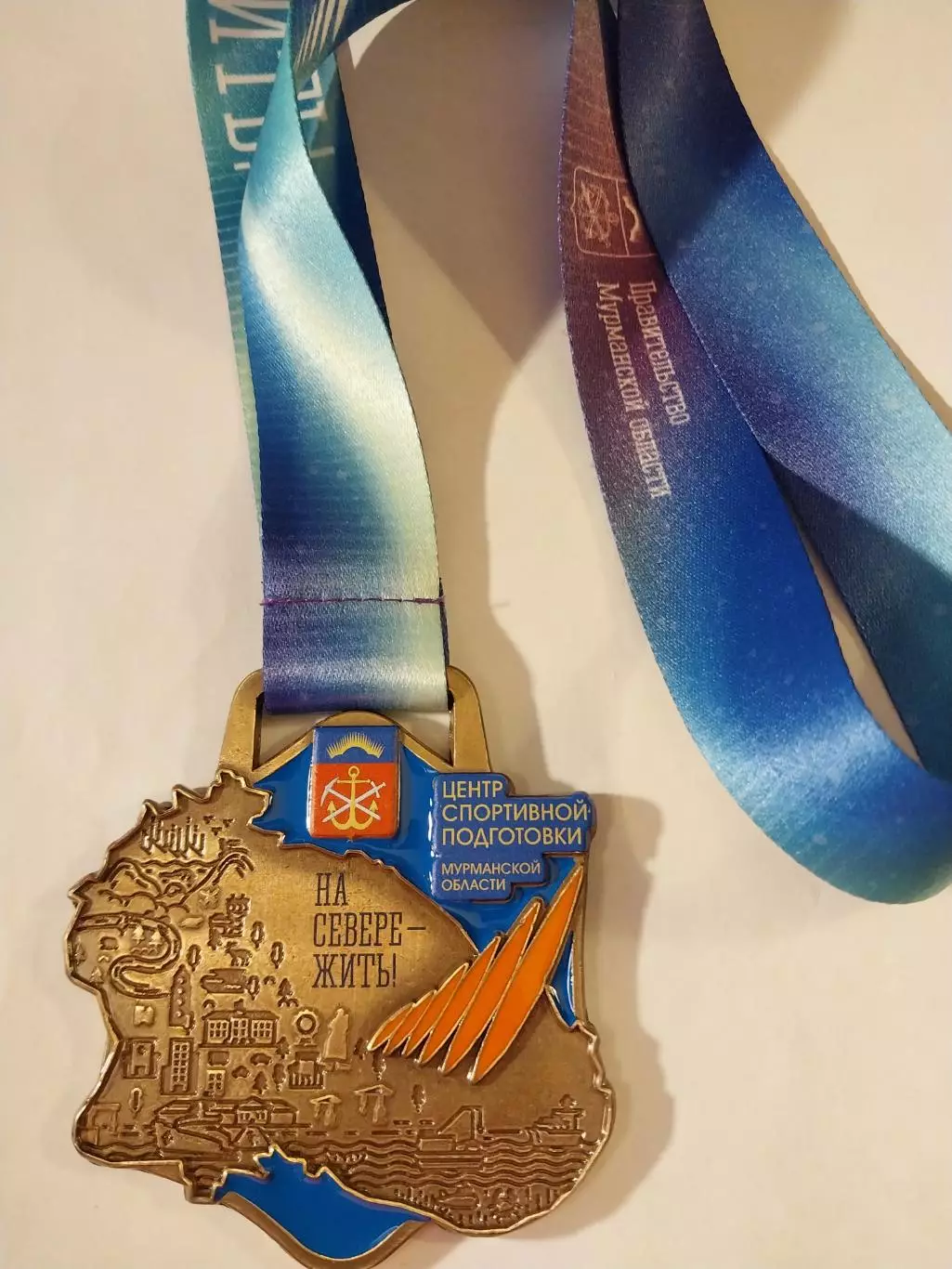 Медаль Первенство Мурманской области по хоккею с мячом, мальчики, девочки 2026 2