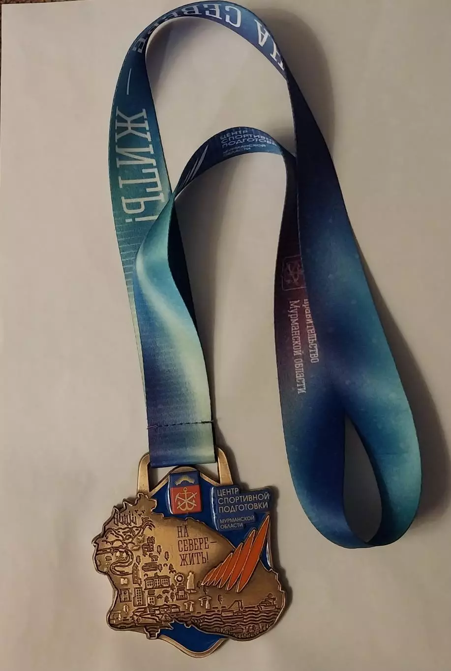 Медаль Первенство Мурманской области по хоккею с мячом, мальчики, девочки 2026