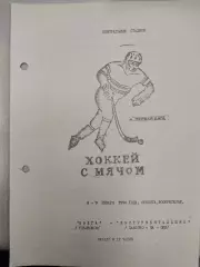 Волга Ульяновск - Инструментальщик Павлово-на-Оке 8-9.01.1994. Хоккей с мячом