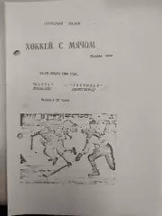 Волга Ульяновск - Черемшан Димитровград 18-19.01.1994. Хоккей с мячом. I лига