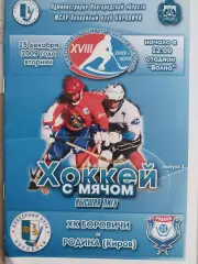ХК Боровичи - Родина Киров 15.12.2009. Хоккей с мячом