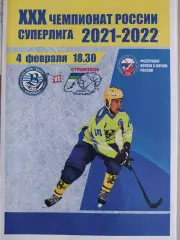 Волга Ульяновск - Строитель Сыктывкар. 04.02.2022 Хоккей с мячом