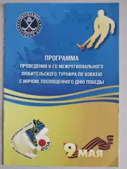 Хоккей с мячом. V межрегиональный любительский турнир, посв. Дню Победы 17.05.14