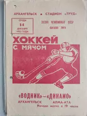 Водник Архангельск - Динамо Алма-Ата 14.12.1983 Хоккей с мячом