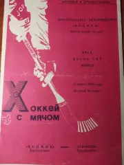 Водник Архангельск - Енисей 18.03.1992. Финал Кубка СНГ. Хоккей с мячом