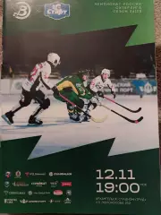 Водник Архангельск - Старт Нижний Новгород 12.11.2024 Хоккей с мячом