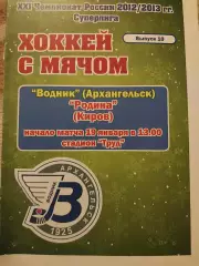 Водник Архангельск - Родина Киров 19.01.2013 Хоккей с мячом