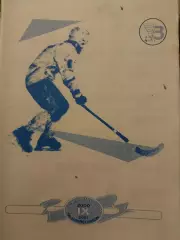 Водник Архангельск - Родина Киров. 23.12.2000 Хоккей с мячом