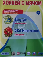 Водник Архангельск - СКА-Нефтяник Хабаровск 17.01.2014 Хоккей с мячом