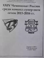 Водник Архангельск - Волга Ульяновск 14.02.2016. Хоккей с мячом