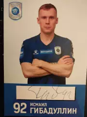 Исмаил Гибадуллин, МФК Норильский никель
