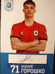 Андрей Горошко, МФК Норильский никель