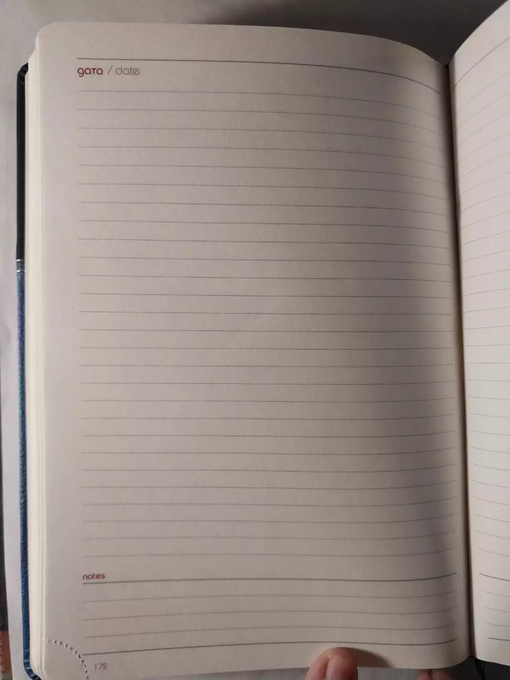 Ежедневник недатированный Infolio 2