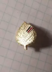 Российский союз молодёжи