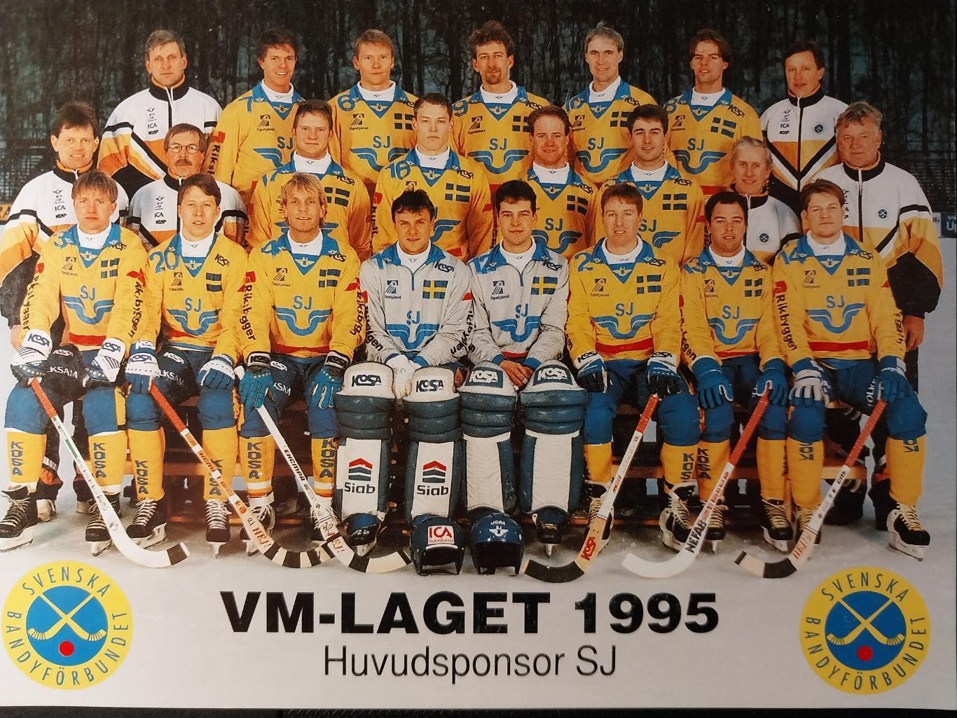Сборная Швеции, 1995, Хоккей с мячом
