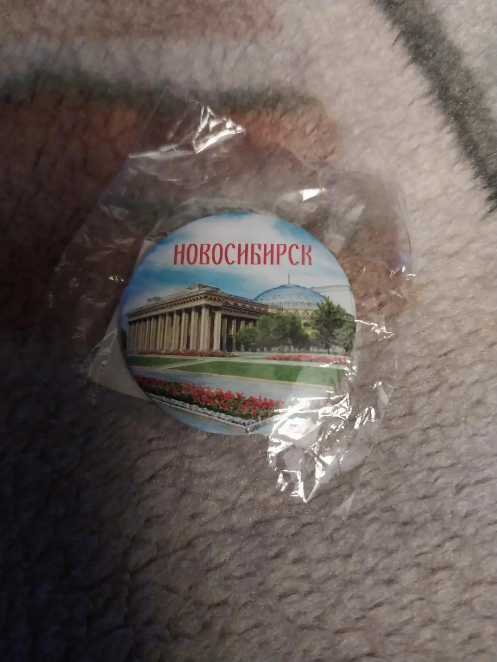 Значок Новосибирск