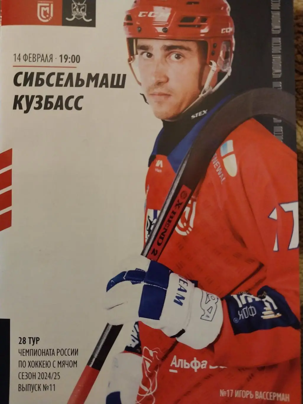 Сибсельмаш (Новосибирск) - Кузбасс (Кемерово) 14.02.2025.Хоккей с мячом