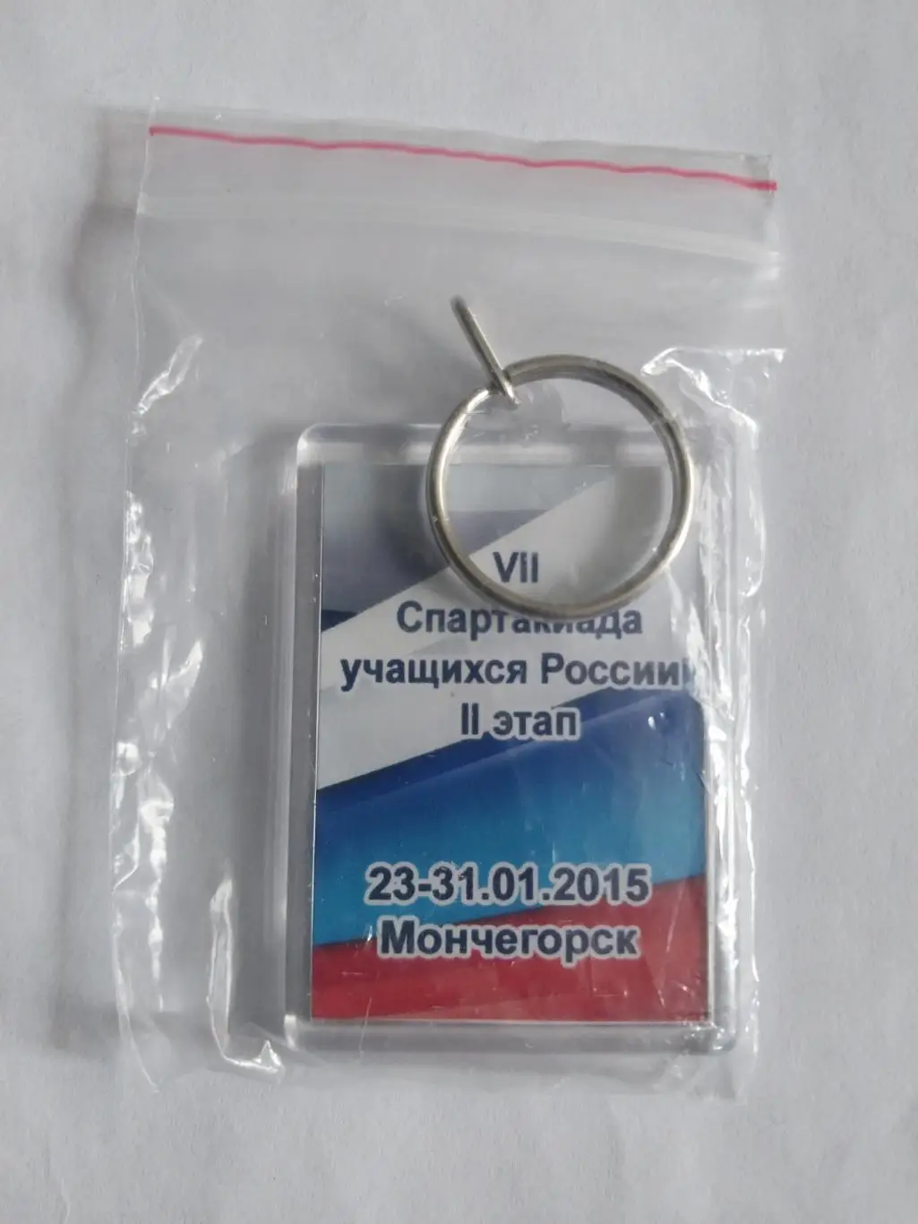 Брелок. Спартакиада учащихся России. Хоккей с мячом. Мончегорск. 23-31.01.2015. 1