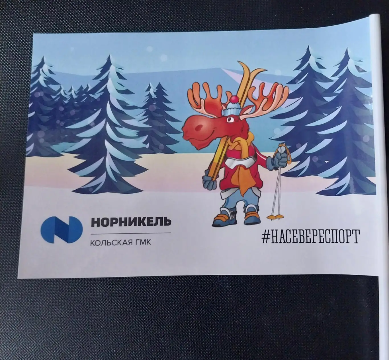 Флажок чемпионат России по лыжным гонкам. Мончегорск 1