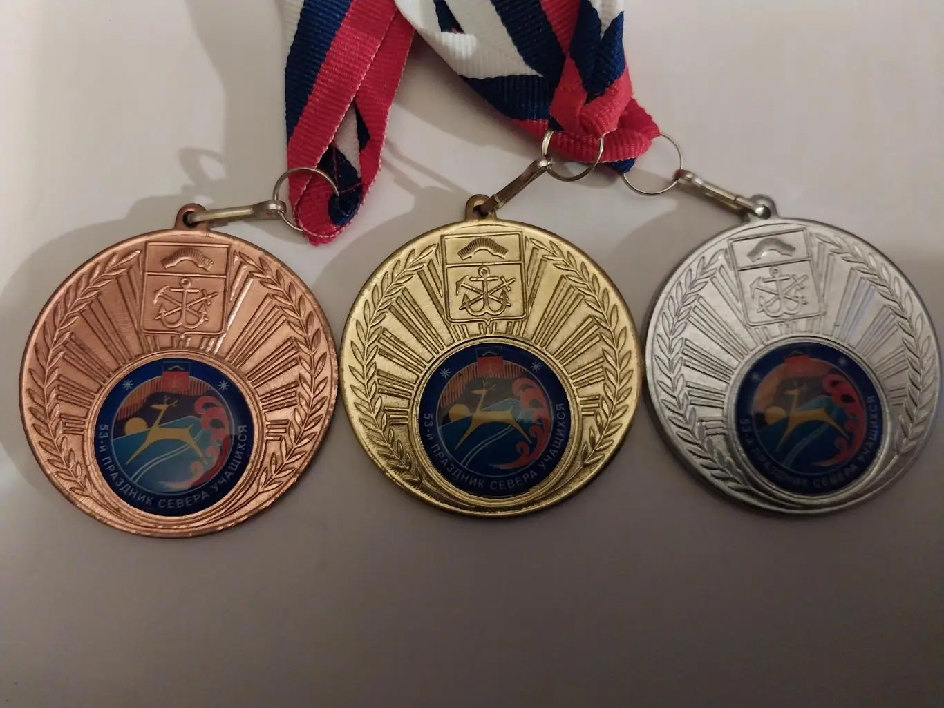 53 Праздник Севера учащихся, Мурманская область, 2013, комплект медалей