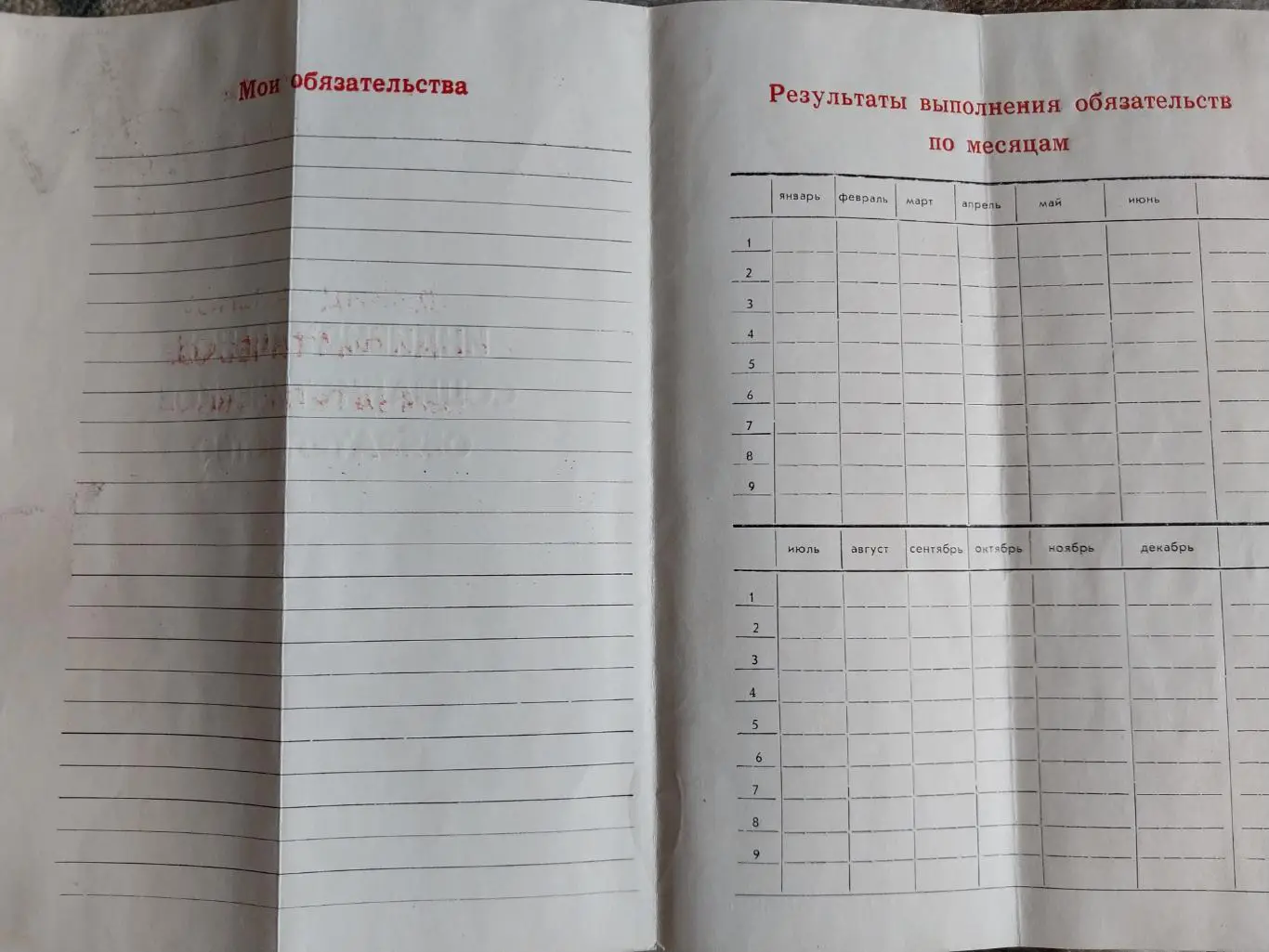 Индивидуальное социалистическое обязательство 2